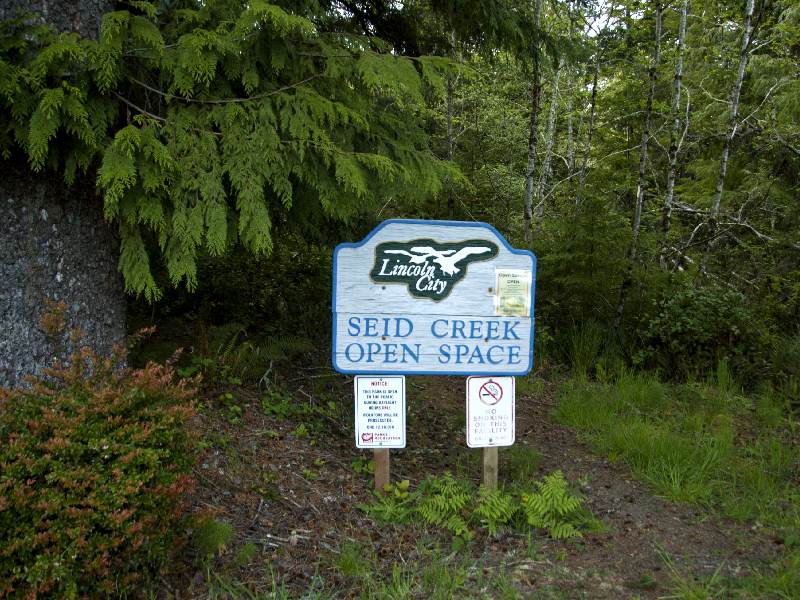 Seid Creek Open Space